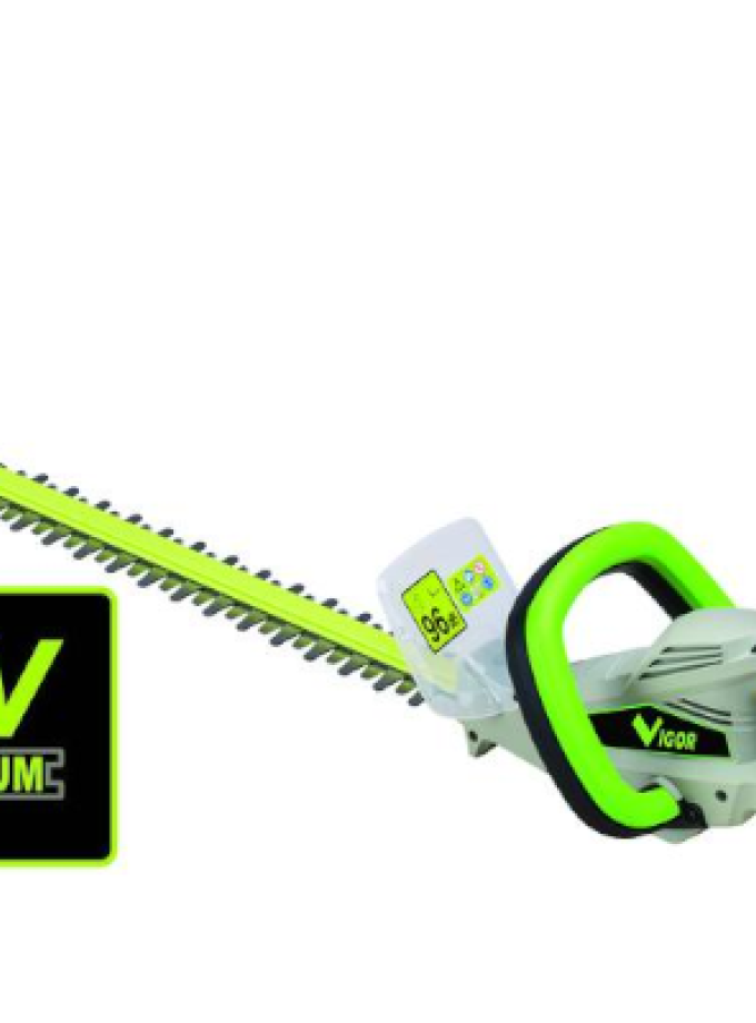 TAGLIASIEPI VIGOR LITIO VXS-36560