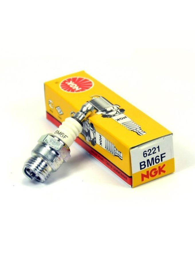 CANDELA PER MACCHINARI DA GIARDINO NGK-BM6F