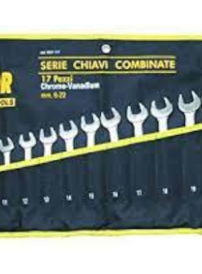 SERIE CHIAVI COMBINATE VIGOR 17 PEZZI