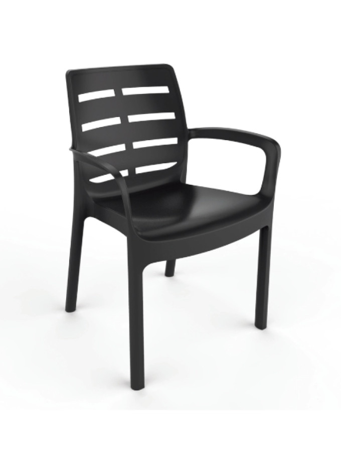 SEDIA CON BRACCIOLI BORNEO ANTRACITE