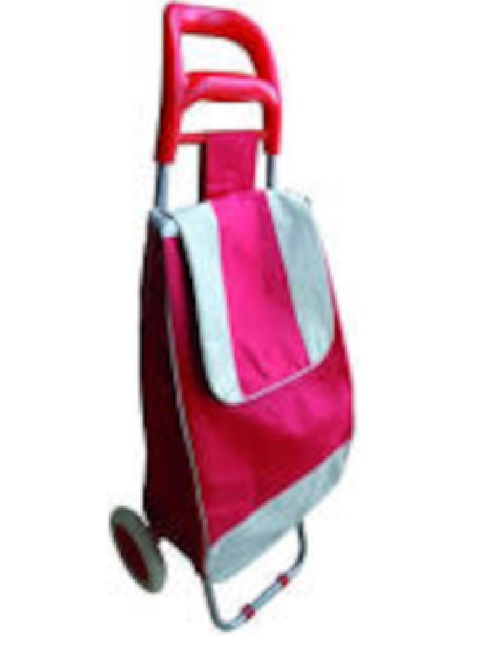 CARRELLI PORTASPESA VIGOR SHOPPING