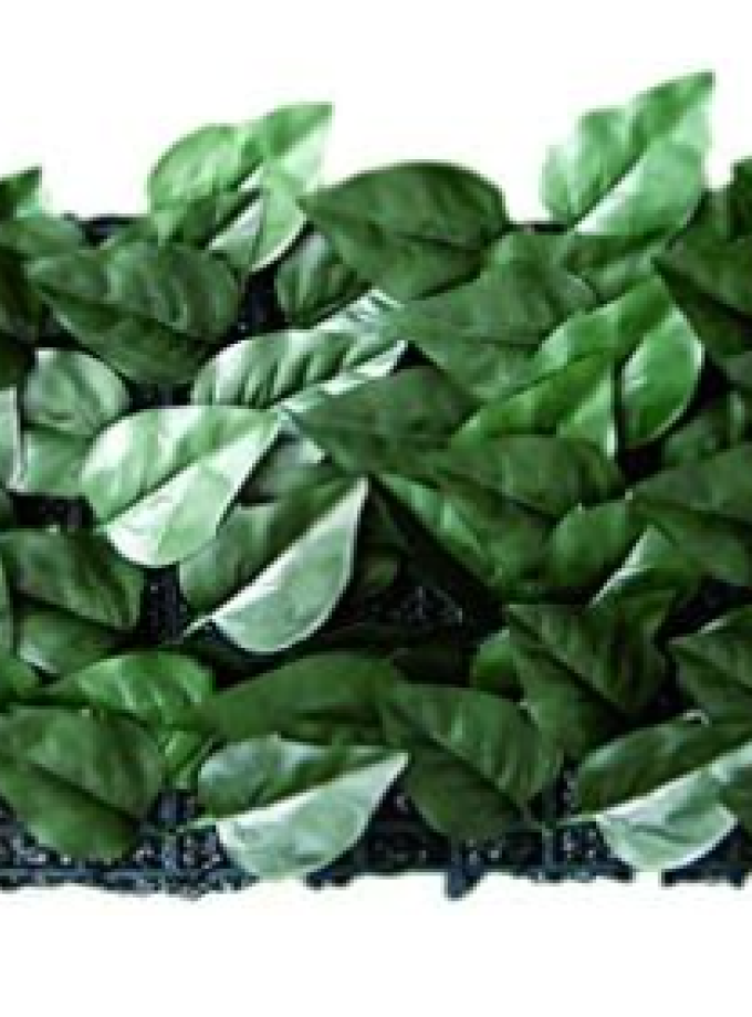 SIEPE SEMPREVERDE VIGOR MOD.LAURO-MIX 1,5x3 m