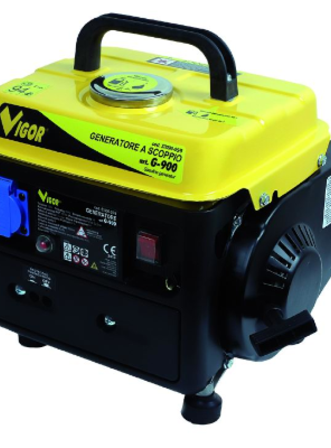GENERATORI VIGOR G-900